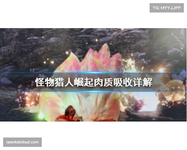 太平洋赛区新军崛起 国王与加人队展现竞争力